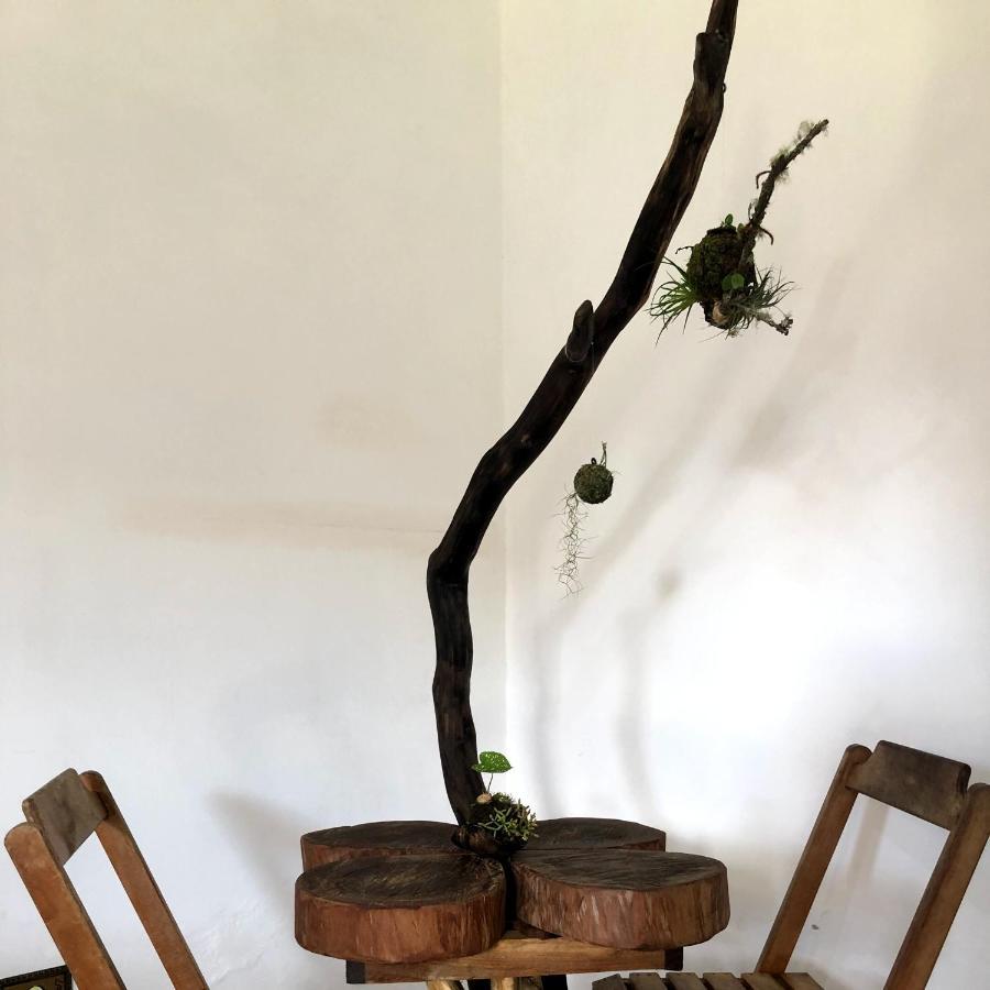 Pousada Atelier Aly Da Costa Iguape Εξωτερικό φωτογραφία